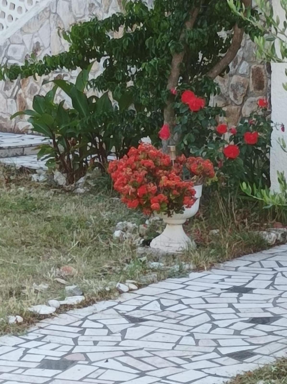Villa Kadinela, 200M From Kamenjak, Huge Quiet Garden With Barbecue, 2 New Kitchens Premantura Luaran gambar